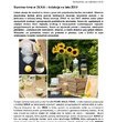 Summer time w DUKA ? kolekcja na lato 2013